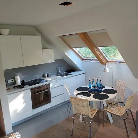 Apartment Loft - Dolny By Oneapartments *